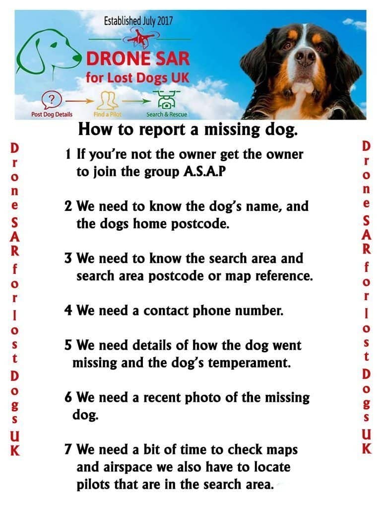 How to report a missing dog to Drone SAR for Lost Dogs UK. 